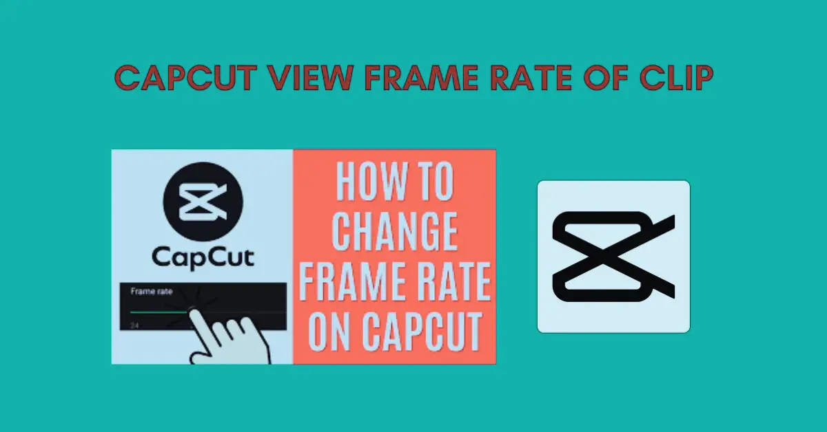 CapCut View Frame Rate of Clip