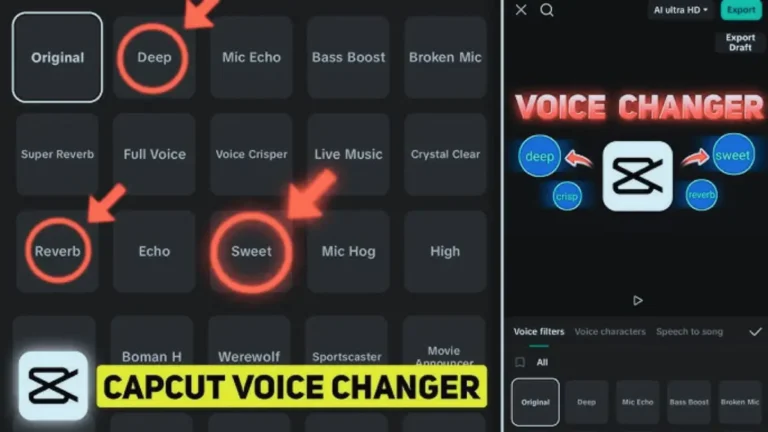 Voice Changer in CapCut Pro